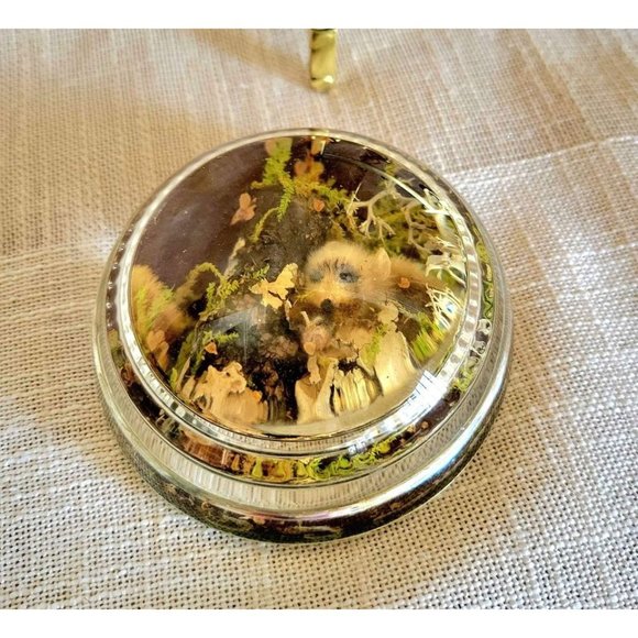 Vintage Lucite Pressed Flower Moss Squirrel Paperweight - Picture 8 of 10